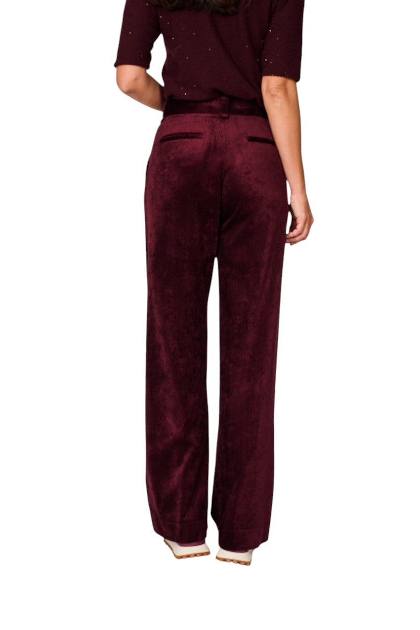 Antonelli broek dames bordeaux Picasso